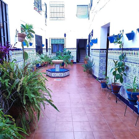 La Casa Del Patio En Pleno San Lorenzo Cordova Esterno foto